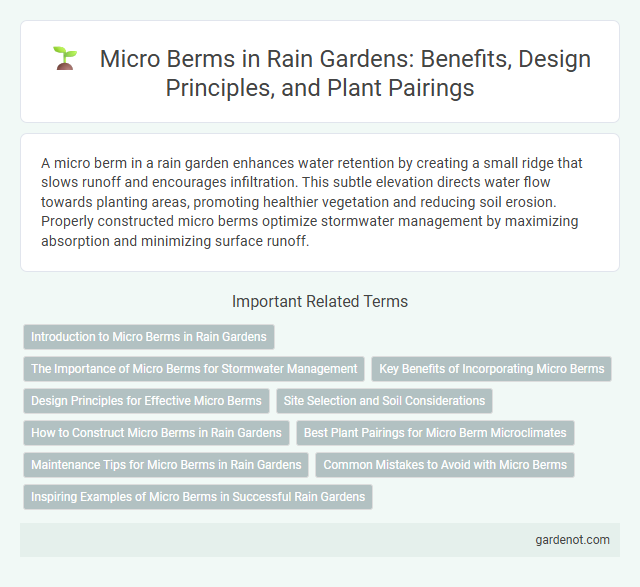 Micro Berms in Rain Gardens: Benefits, Design Principles, and Plant Pairings