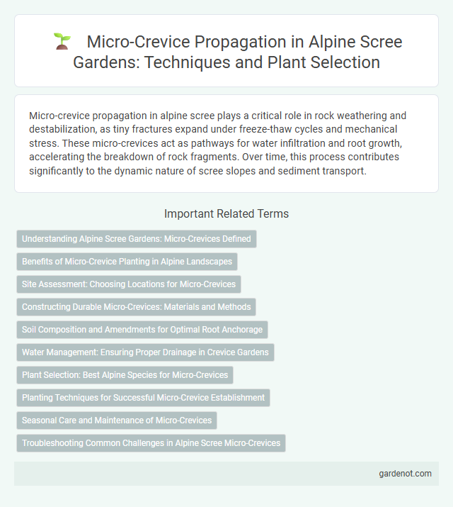 Micro-Crevice Propagation in Alpine Scree Gardens: Techniques and Plant Selection