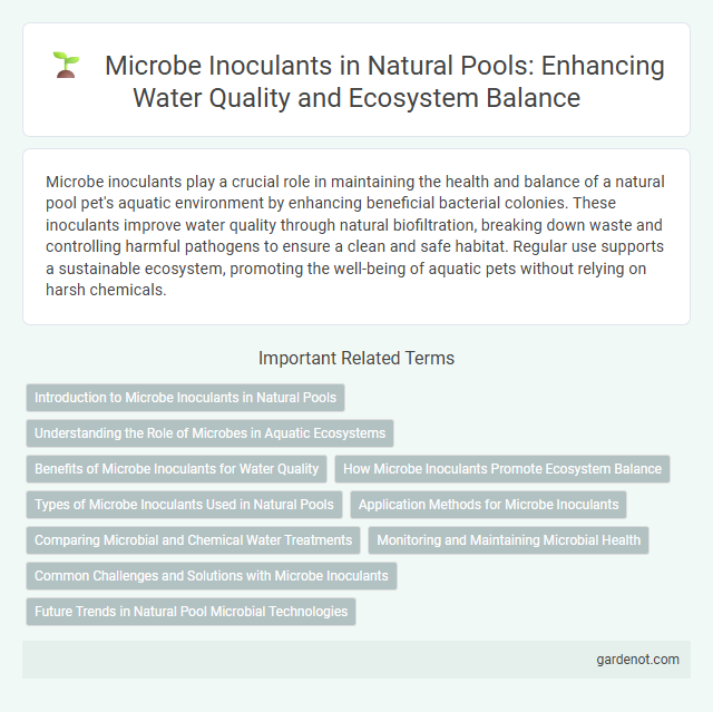 Microbe Inoculants in Natural Pools: Enhancing Water Quality and Ecosystem Balance