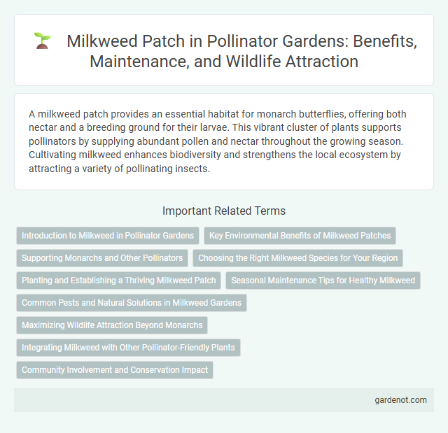 Milkweed Patch in Pollinator Gardens: Benefits, Maintenance, and Wildlife Attraction