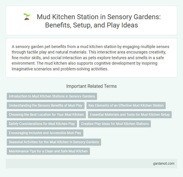 Mud Kitchen Station in Sensory Gardens: Benefits, Setup, and Play Ideas