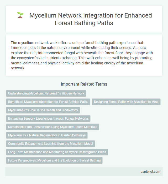 Mycelium Network Integration for Enhanced Forest Bathing Paths