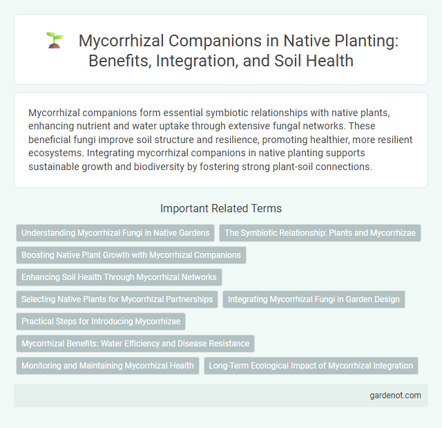 Mycorrhizal Companions in Native Planting: Benefits, Integration, and Soil Health