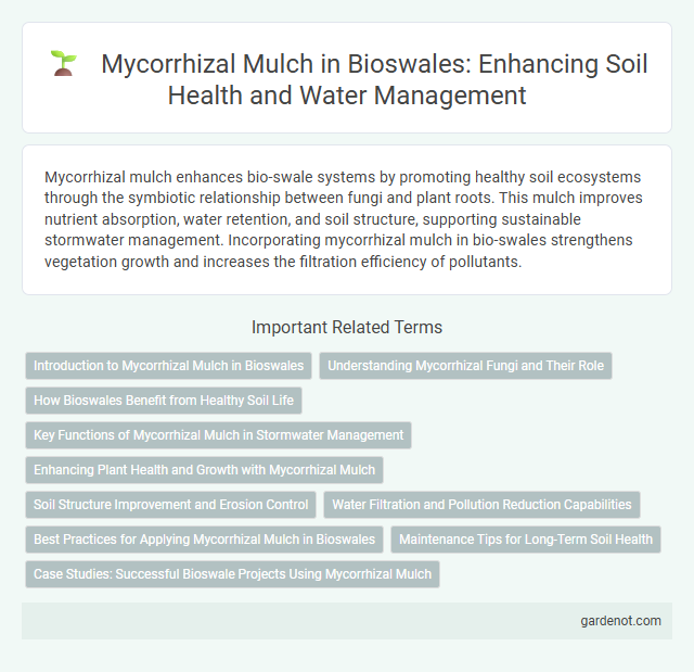 Mycorrhizal Mulch in Bioswales: Enhancing Soil Health and Water Management