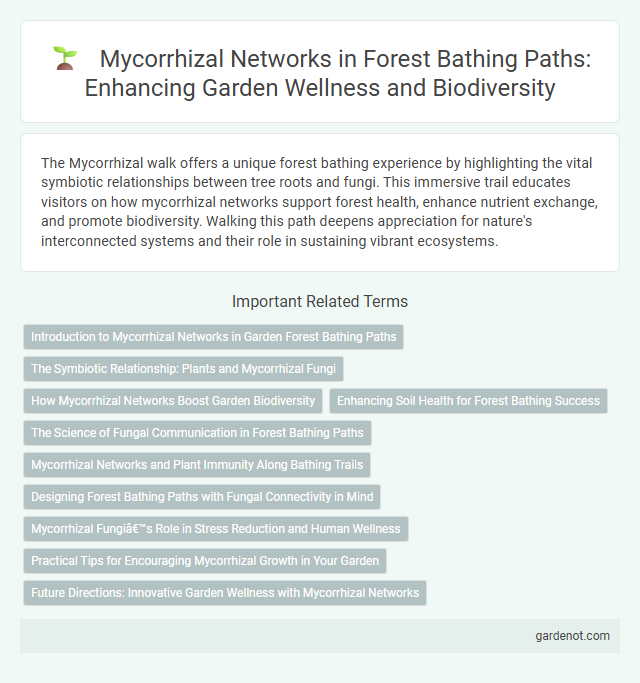 Mycorrhizal Networks in Forest Bathing Paths: Enhancing Garden Wellness and Biodiversity
