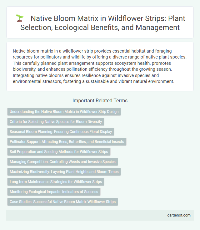 Native Bloom Matrix in Wildflower Strips: Plant Selection, Ecological Benefits, and Management