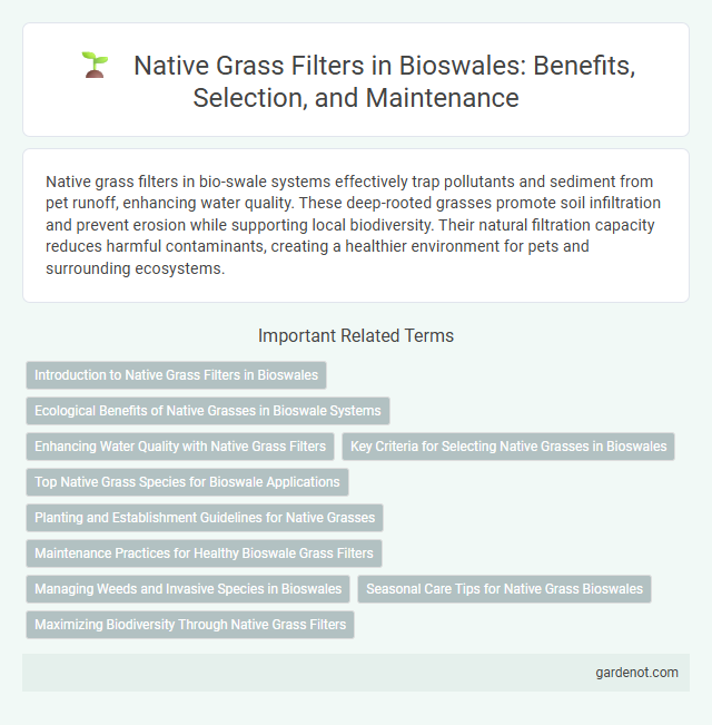 Native Grass Filters in Bioswales: Benefits, Selection, and Maintenance