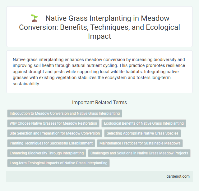 Native Grass Interplanting in Meadow Conversion: Benefits, Techniques, and Ecological Impact