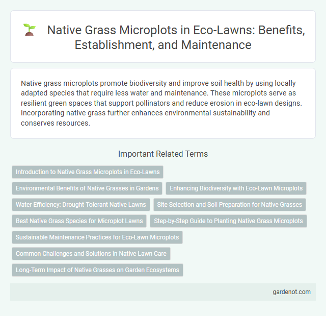 Native Grass Microplots in Eco-Lawns: Benefits, Establishment, and Maintenance