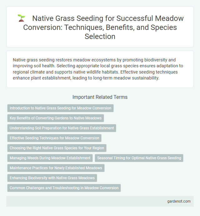 Native Grass Seeding for Successful Meadow Conversion: Techniques, Benefits, and Species Selection
