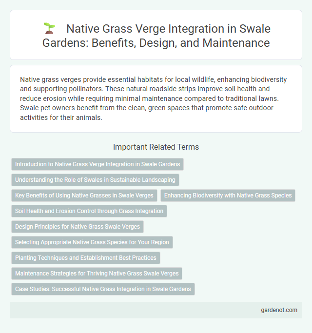 Native Grass Verge Integration in Swale Gardens: Benefits, Design, and Maintenance