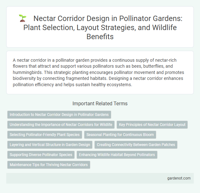 Nectar Corridor Design in Pollinator Gardens: Plant Selection, Layout Strategies, and Wildlife Benefits