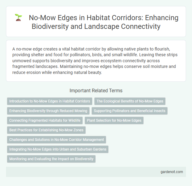 No-Mow Edges in Habitat Corridors: Enhancing Biodiversity and Landscape Connectivity