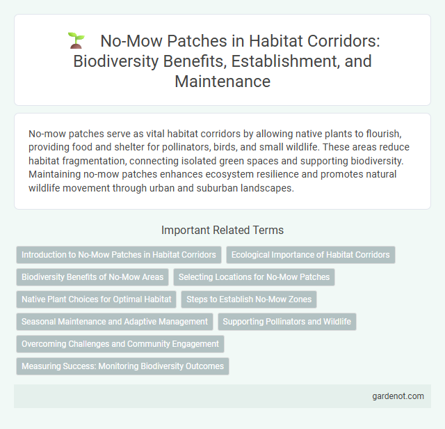 No-Mow Patches in Habitat Corridors: Biodiversity Benefits, Establishment, and Maintenance