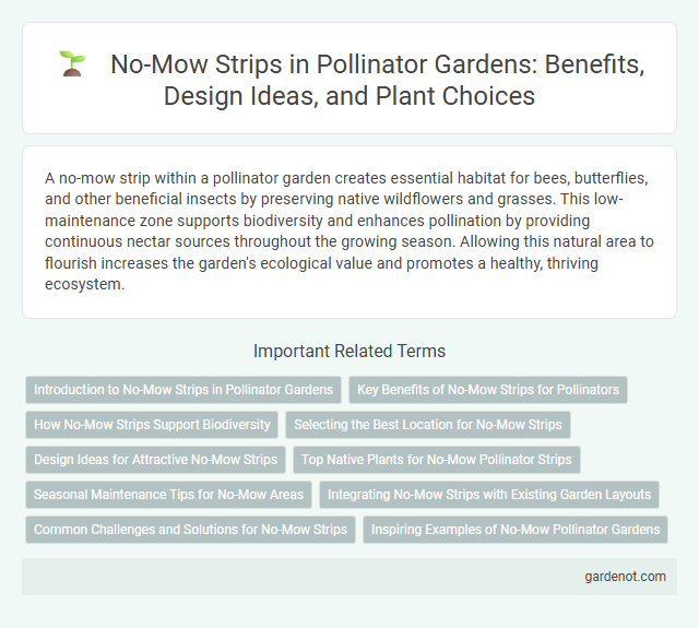 No-Mow Strips in Pollinator Gardens: Benefits, Design Ideas, and Plant Choices