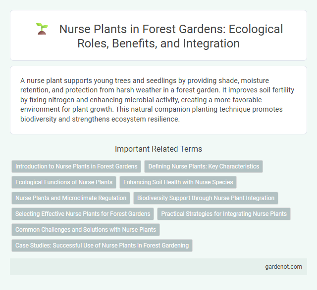 Nurse Plants in Forest Gardens: Ecological Roles, Benefits, and Integration