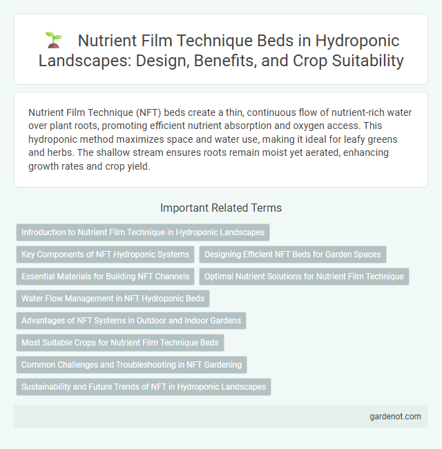 Nutrient Film Technique Beds in Hydroponic Landscapes: Design, Benefits, and Crop Suitability