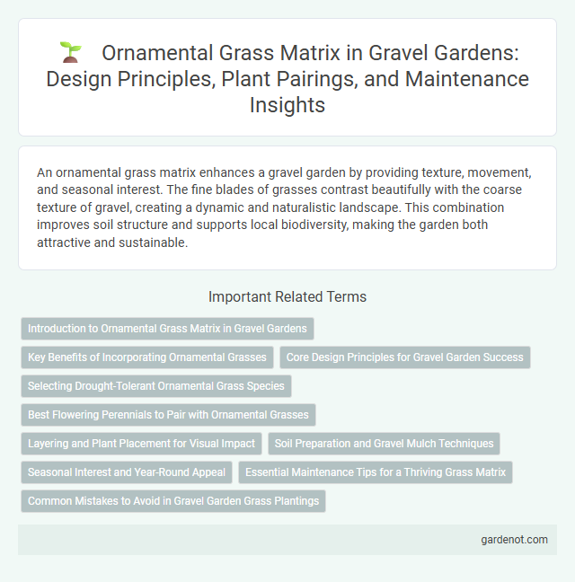 Ornamental Grass Matrix in Gravel Gardens: Design Principles, Plant Pairings, and Maintenance Insights