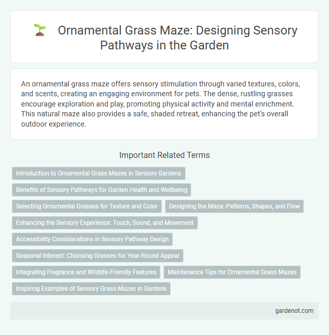 Ornamental Grass Maze: Designing Sensory Pathways in the Garden