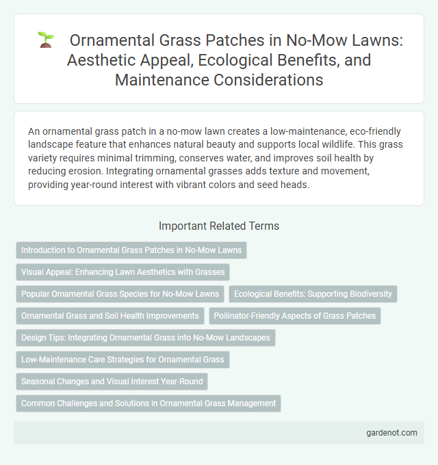 Ornamental Grass Patches in No-Mow Lawns: Aesthetic Appeal, Ecological Benefits, and Maintenance Considerations