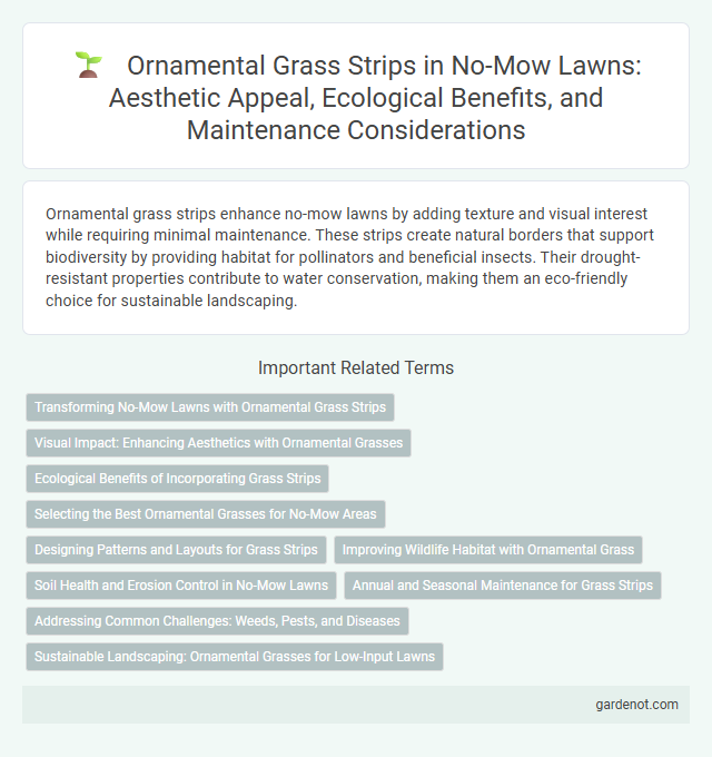 Ornamental Grass Strips in No-Mow Lawns: Aesthetic Appeal, Ecological Benefits, and Maintenance Considerations