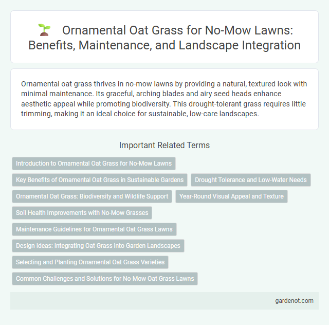 Ornamental Oat Grass for No-Mow Lawns: Benefits, Maintenance, and Landscape Integration