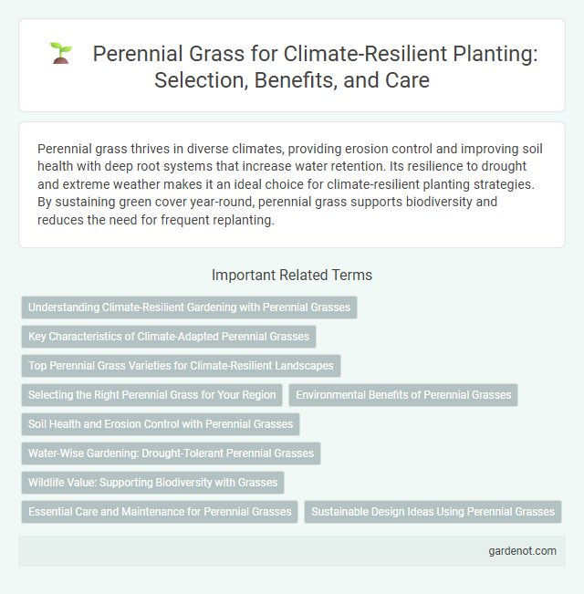 Perennial Grass for Climate-Resilient Planting: Selection, Benefits, and Care