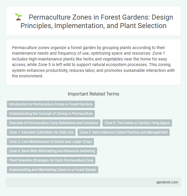 Permaculture Zones in Forest Gardens: Design Principles, Implementation, and Plant Selection