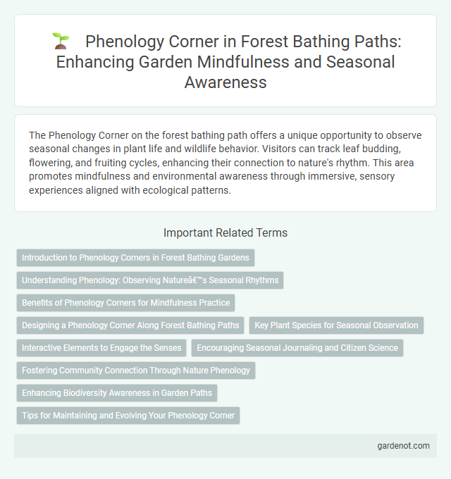 Phenology Corner in Forest Bathing Paths: Enhancing Garden Mindfulness and Seasonal Awareness