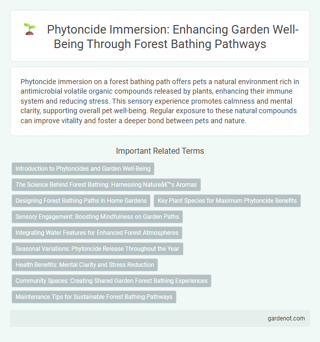 Phytoncide Immersion: Enhancing Garden Well-Being Through Forest Bathing Pathways