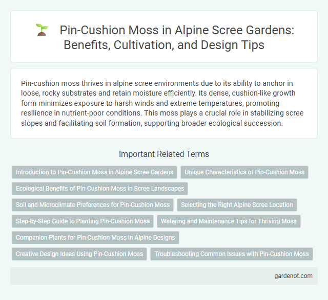 Pin-Cushion Moss in Alpine Scree Gardens: Benefits, Cultivation, and Design Tips