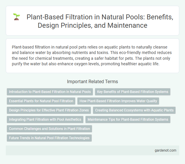 Plant-Based Filtration in Natural Pools: Benefits, Design Principles, and Maintenance