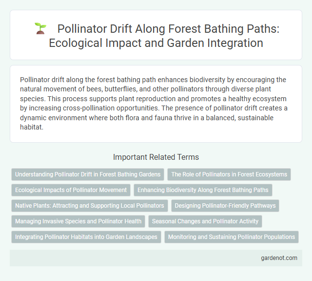 Pollinator Drift Along Forest Bathing Paths: Ecological Impact and Garden Integration