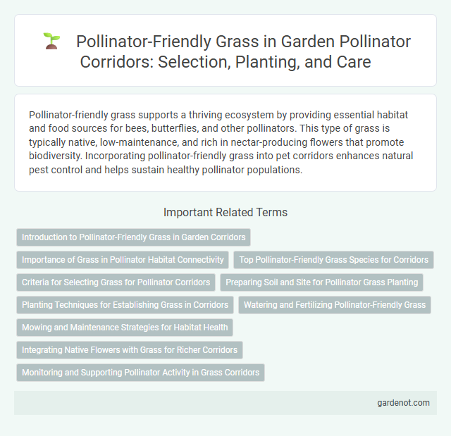 Pollinator-Friendly Grass in Garden Pollinator Corridors: Selection, Planting, and Care