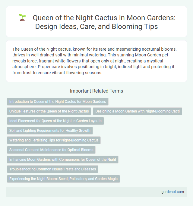 Queen of the Night Cactus in Moon Gardens: Design Ideas, Care, and Blooming Tips