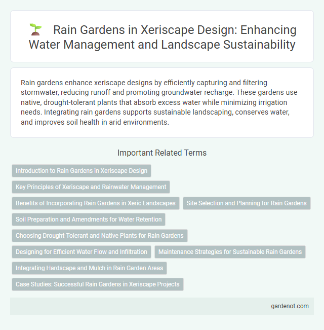 Rain Gardens in Xeriscape Design: Enhancing Water Management and Landscape Sustainability