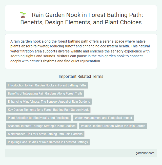 Rain Garden Nook in Forest Bathing Path: Benefits, Design Elements, and Plant Choices