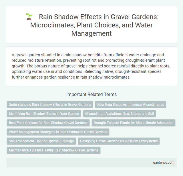 Rain Shadow Effects in Gravel Gardens: Microclimates, Plant Choices, and Water Management