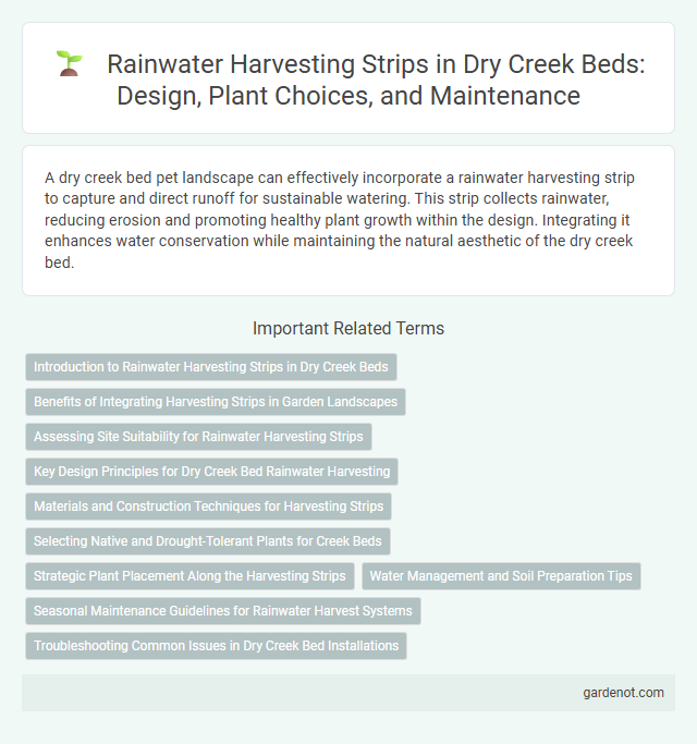 Rainwater Harvesting Strips in Dry Creek Beds: Design, Plant Choices, and Maintenance