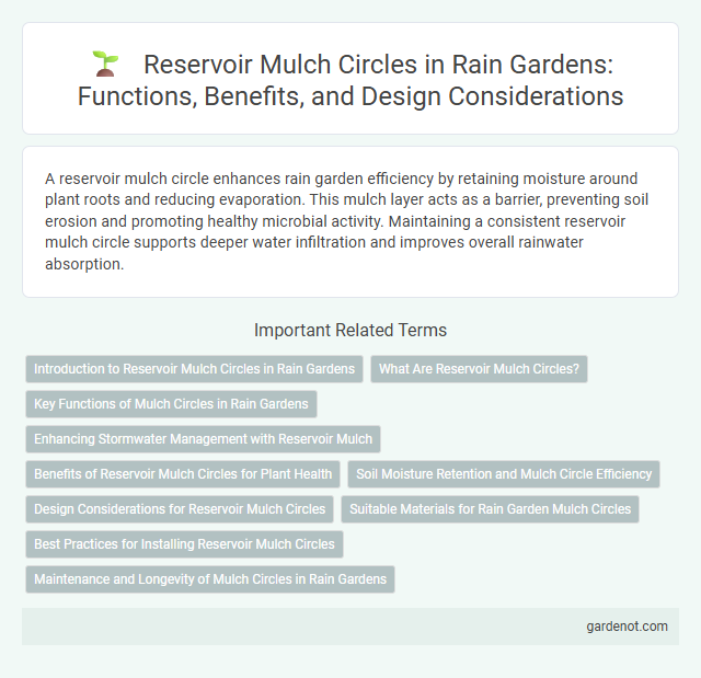 Reservoir Mulch Circles in Rain Gardens: Functions, Benefits, and Design Considerations