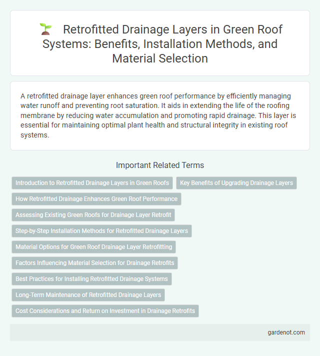 Retrofitted Drainage Layers in Green Roof Systems: Benefits, Installation Methods, and Material Selection