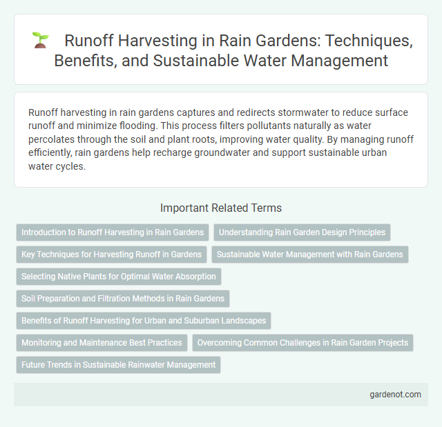 Runoff Harvesting in Rain Gardens: Techniques, Benefits, and Sustainable Water Management