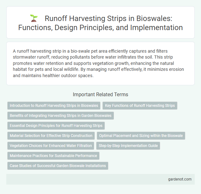 Runoff Harvesting Strips in Bioswales: Functions, Design Principles, and Implementation