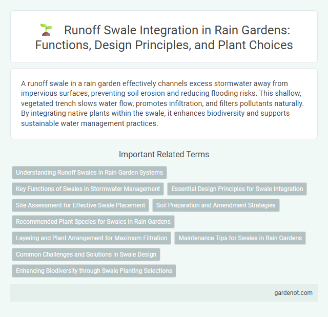 Runoff Swale Integration in Rain Gardens: Functions, Design Principles, and Plant Choices