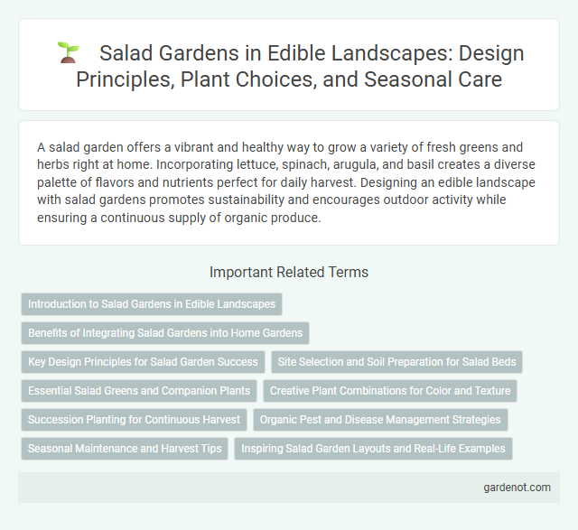 Salad Gardens in Edible Landscapes: Design Principles, Plant Choices, and Seasonal Care