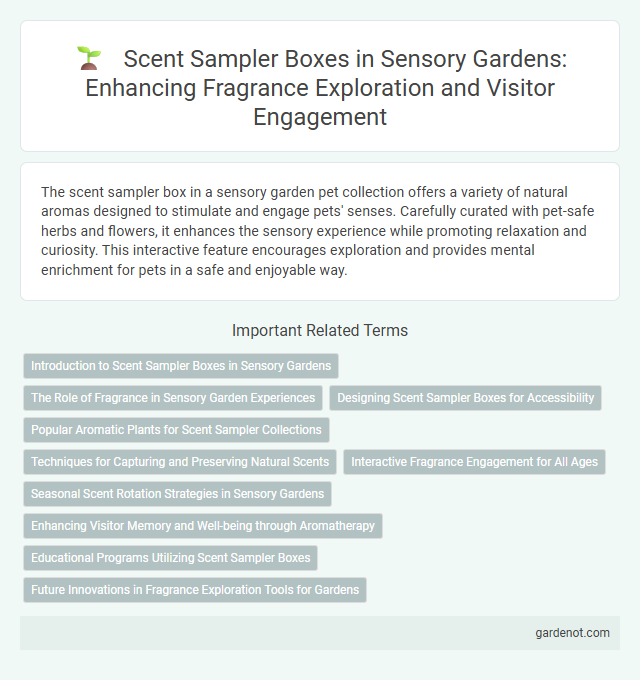 Scent Sampler Boxes in Sensory Gardens: Enhancing Fragrance Exploration and Visitor Engagement