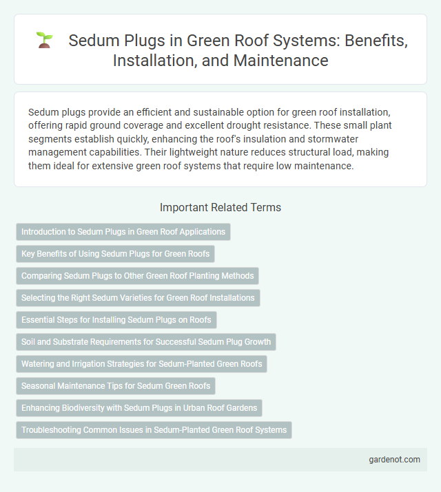 Sedum Plugs in Green Roof Systems: Benefits, Installation, and Maintenance
