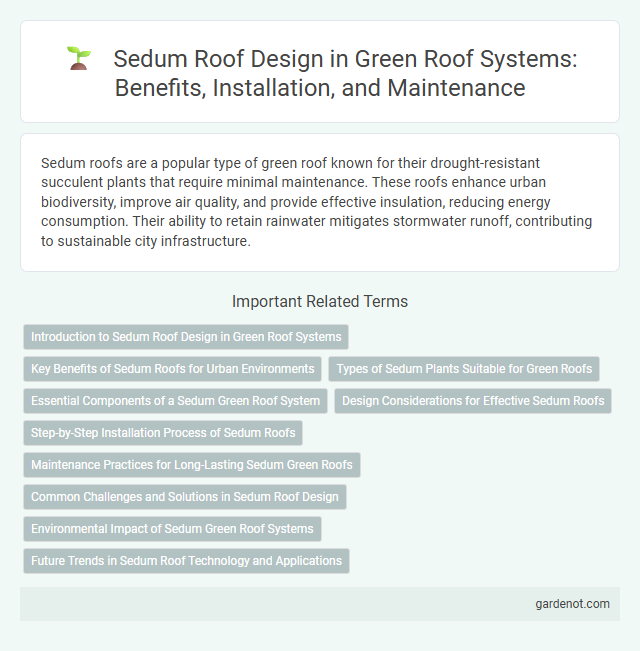 Sedum Roof Design in Green Roof Systems: Benefits, Installation, and Maintenance