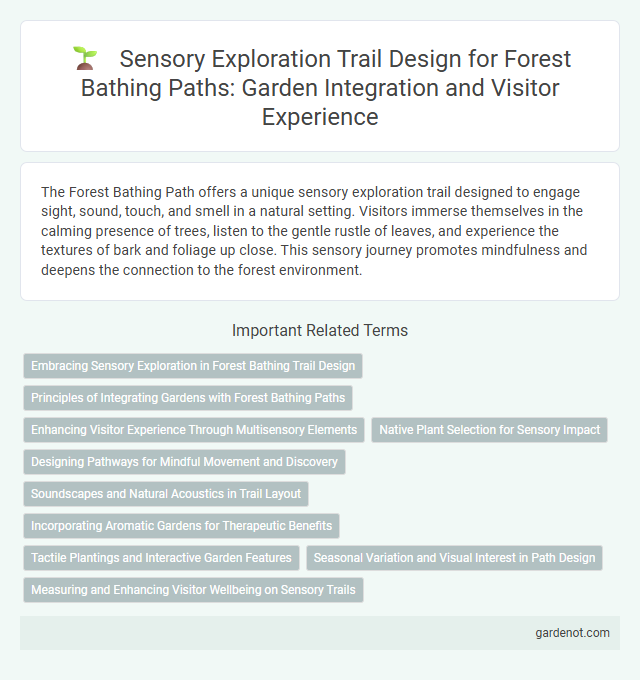 Sensory Exploration Trail Design for Forest Bathing Paths: Garden Integration and Visitor Experience
