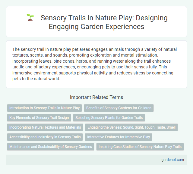 Sensory Trails in Nature Play: Designing Engaging Garden Experiences